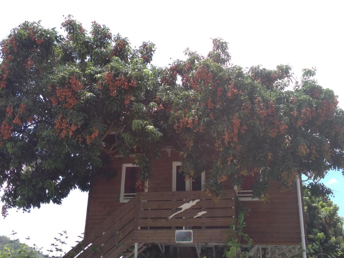 Ti Kaz Perchee Villa Entre-Deux Luaran gambar
