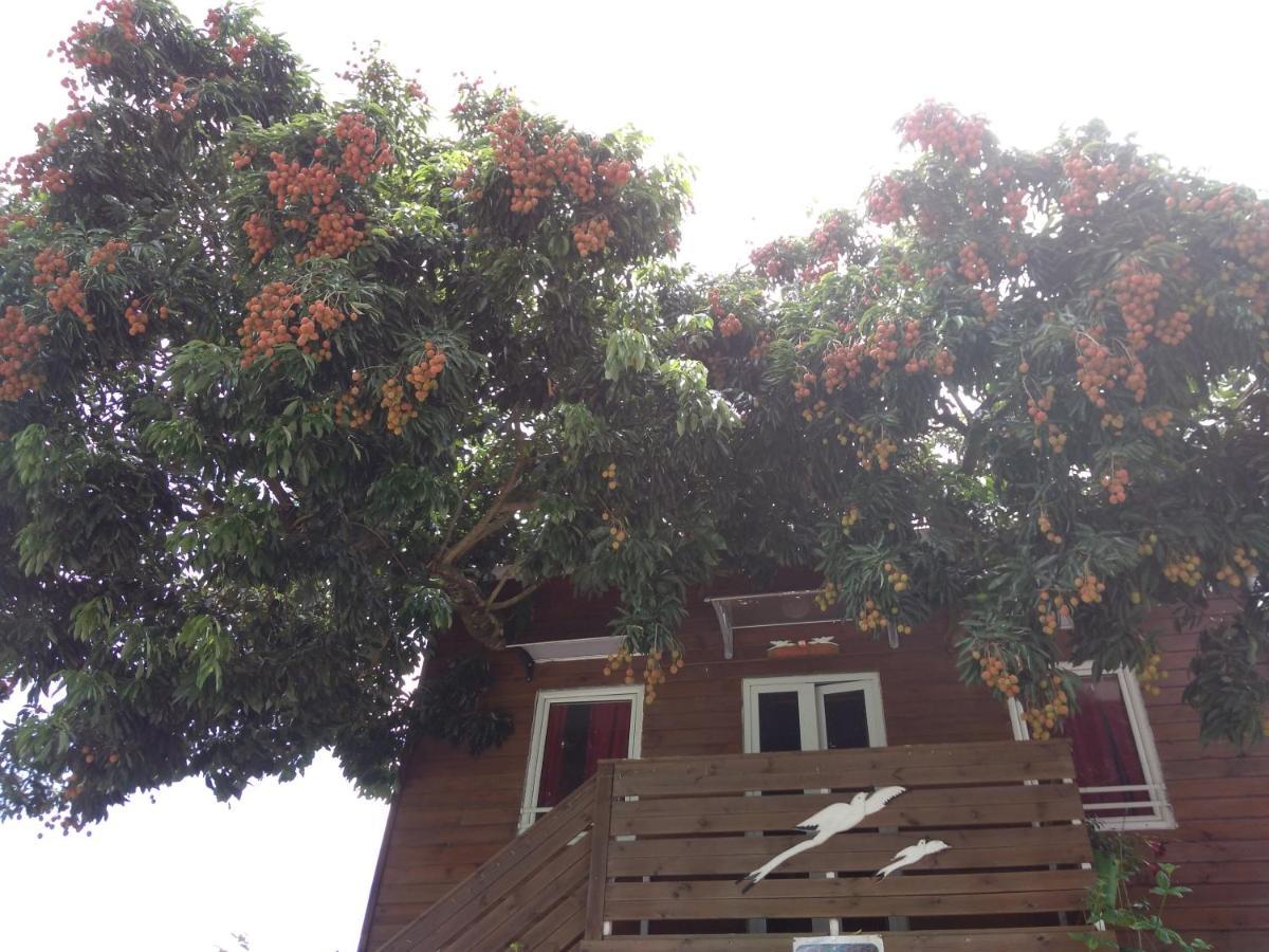 Ti Kaz Perchee Villa Entre-Deux Luaran gambar