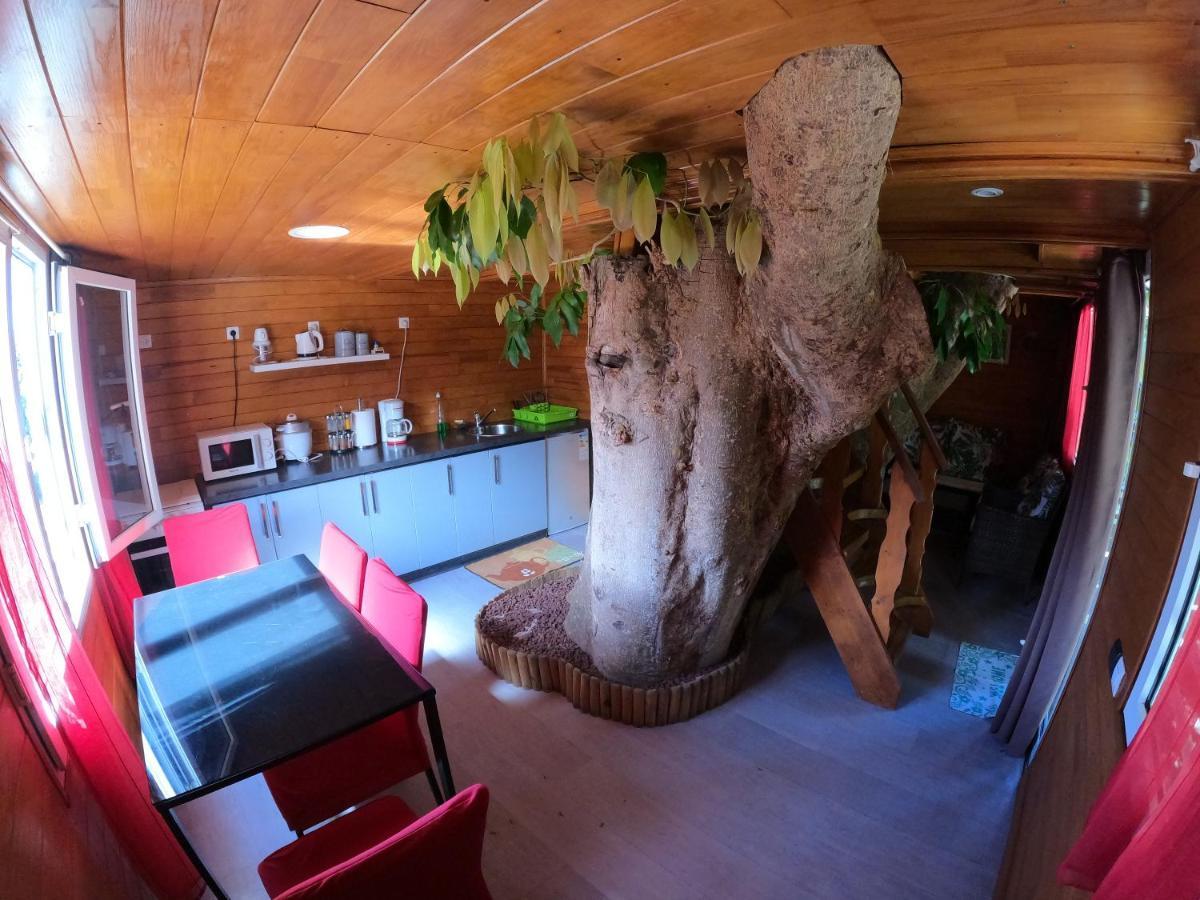 Ti Kaz Perchee Villa Entre-Deux Luaran gambar