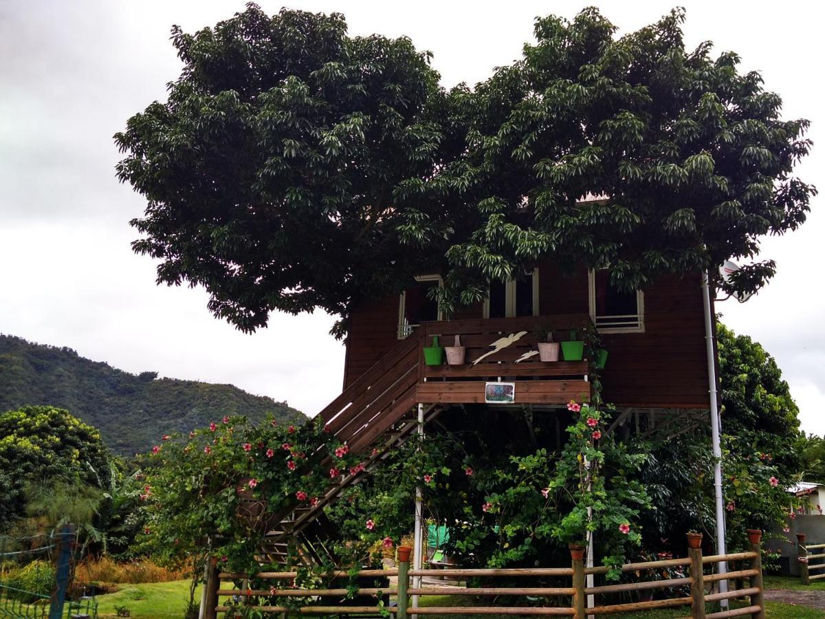 Ti Kaz Perchee Villa Entre-Deux Luaran gambar