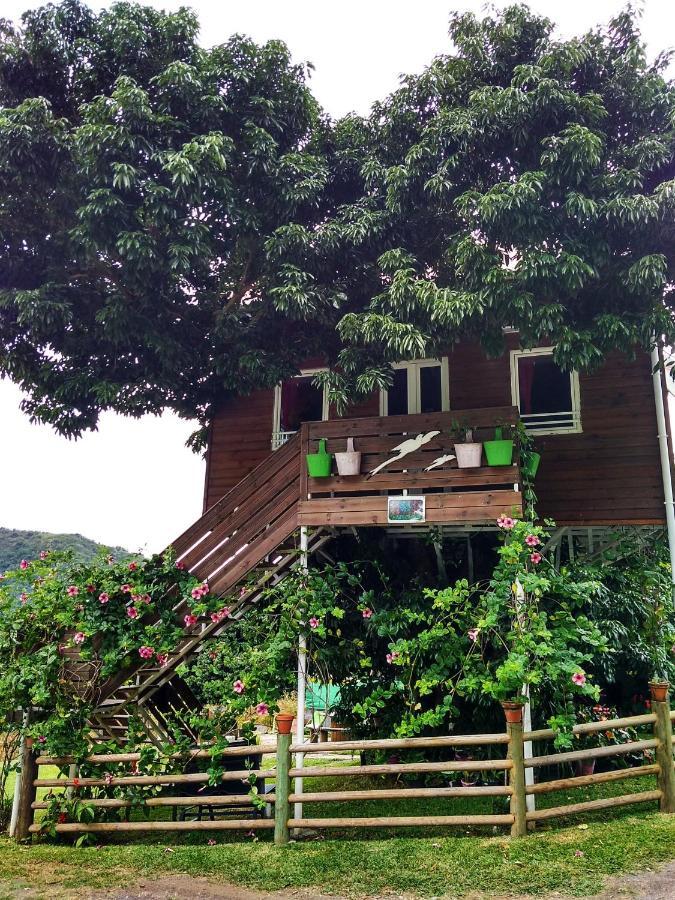 Ti Kaz Perchee Villa Entre-Deux Luaran gambar